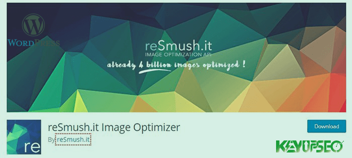 reSmush.it is a plugin for optimizing images in WordPress (free)